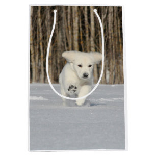 White Golden Retriever Puppy in sneeuw Medium Cadeauzakje