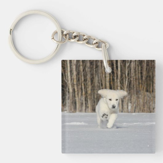 White Golden Retriever Puppy in sneeuw Sleutelhanger (Voorkant)