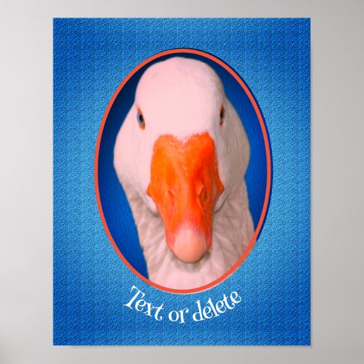 White Goose Face Boerderij Animal Personated Poster (Voorkant)