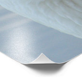 White Goose Portrait Foto Afdruk (Hoek)