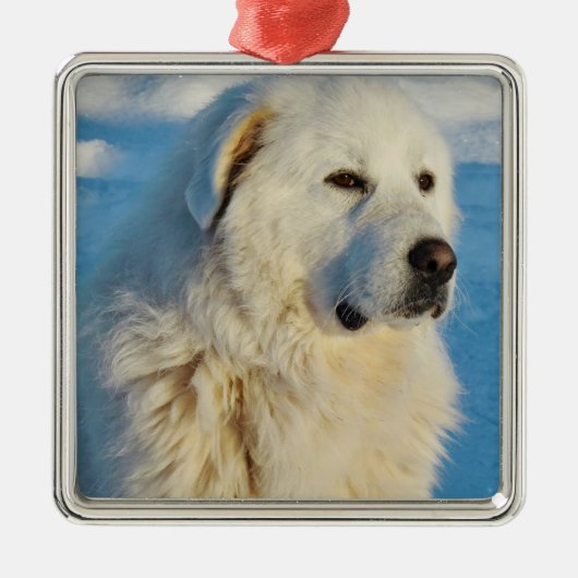 White Great Pyrenees Livestock Guardian Dog Metalen Ornament (Voorkant)