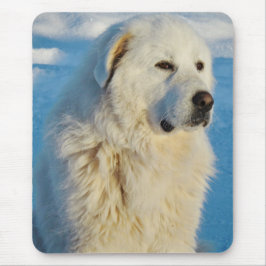 White Great Pyrenees Livestock Guardian Dog Muismat
