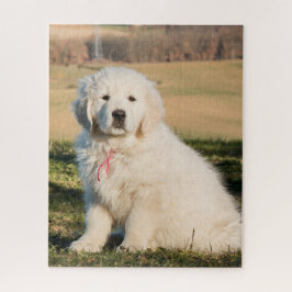 White Great Pyrenees Livestock Guardian Dog Puppy Legpuzzel