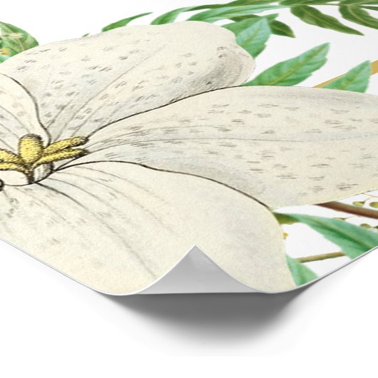 White Green Floral Gold Wedding Seating Chart Poster (Hoek)