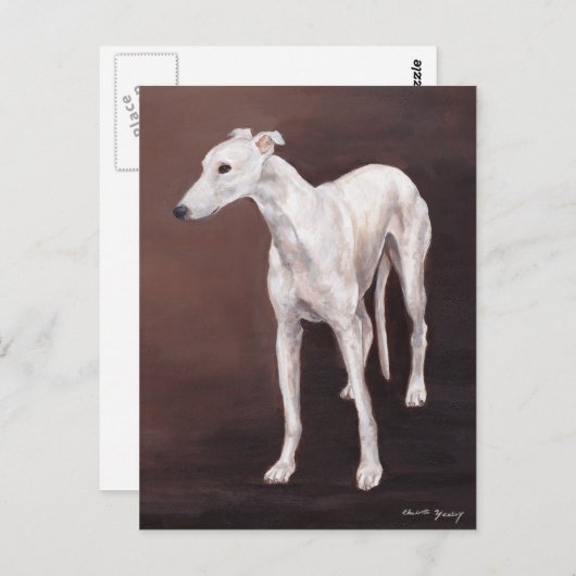 White Greyhound Dog Art Briefkaart (Voorkant / Achterkant)