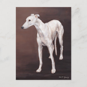 White Greyhound Dog Art Briefkaart