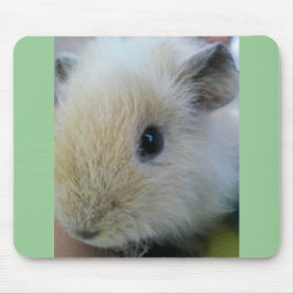 White Guinea Pig. met  groene randen Muismat