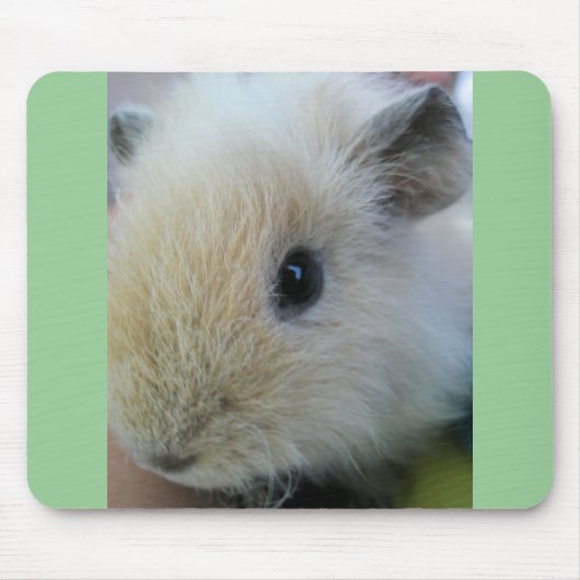White Guinea Pig. met  groene randen Muismat (Voorkant)