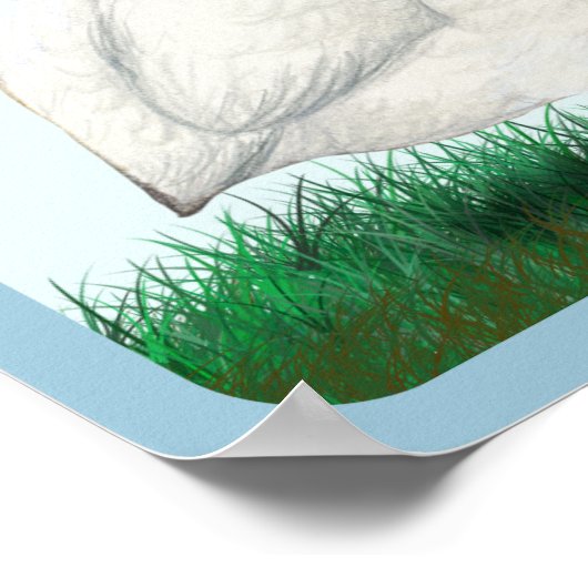 White Guinea Poster (Hoek)