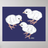 White Guinee Keets Poster (Voorkant)