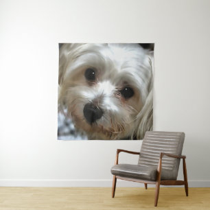 White Haire Street Dog Portrait Wandkleed