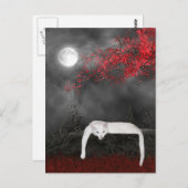 White Halloween cat Briefkaart (Voorkant / Achterkant)