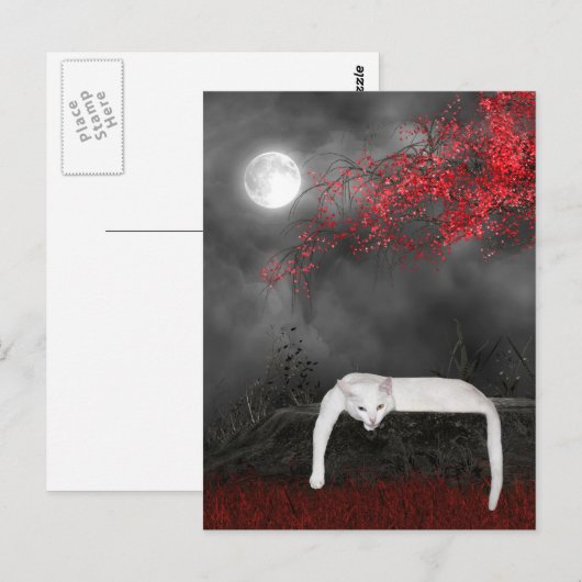 White Halloween cat Briefkaart (Voorkant / Achterkant)