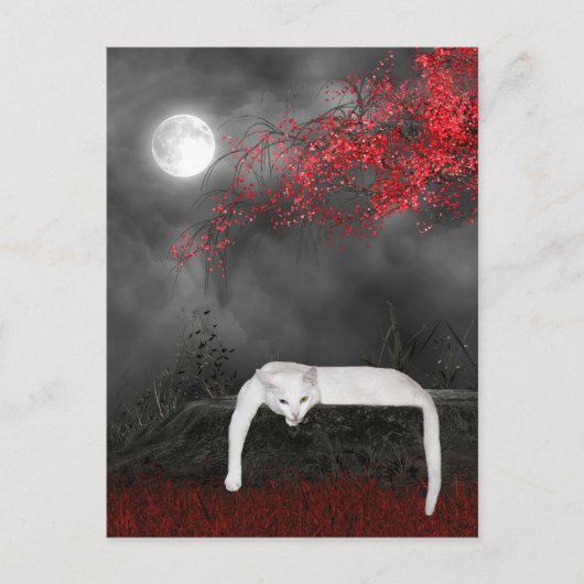 White Halloween cat Briefkaart (Voorkant)