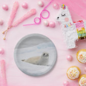 White Harbour Seal Snow Photo Papieren Bordje (Feest)