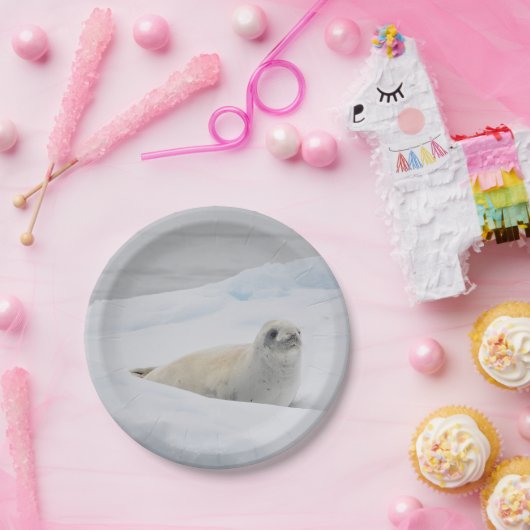 White Harbour Seal Snow Photo Papieren Bordje (Feest)