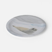 White Harbour Seal Snow Photo Papieren Bordje (Gekanteld)