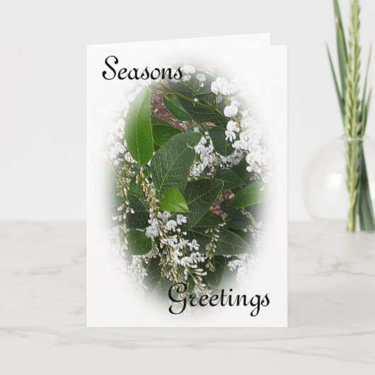 White Hardenbergia-kerstkaart Feestdagen Kaart (Voorkant)