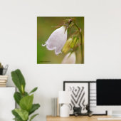 White Harebell Poster (Thuiskantoor)