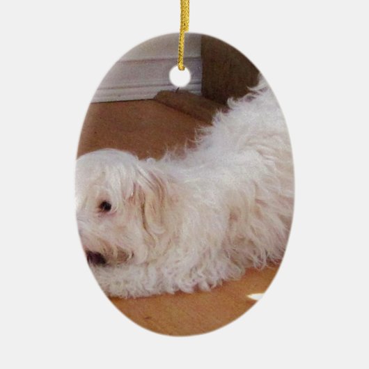White Havanese Puppy Speel met Red Ball Keramisch Ornament (Voorkant)