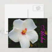 White Hawaii Hibiscus Briefkaart (Voorkant / Achterkant)