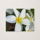 White Hawaii Plumeria Flower Legpuzzel (Horizontaal)