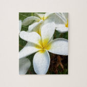 White Hawaii Plumeria Flower Legpuzzel (Verticaal)