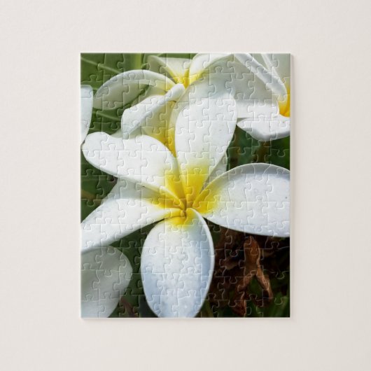 White Hawaii Plumeria Flower Legpuzzel (Verticaal)