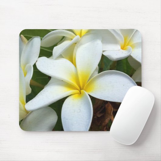White Hawaii Plumeria Flower Muismat (Met muis)