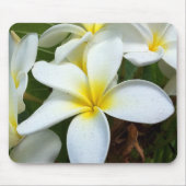 White Hawaii Plumeria Flower Muismat (Voorkant)