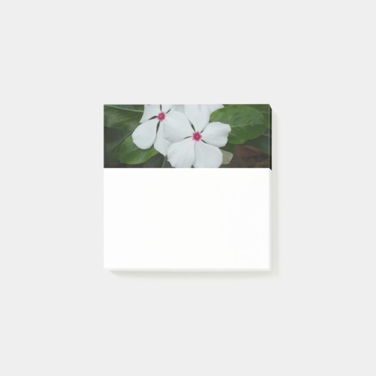 White Hawaiian Flowers Square Post-it® Notes (Voorkant)