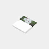 White Hawaiian Flowers Square Post-it® Notes (Schuin)