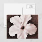 White Hawaiian Hibiscus Sepia Tropische Bloem Briefkaart (Voorkant / Achterkant)