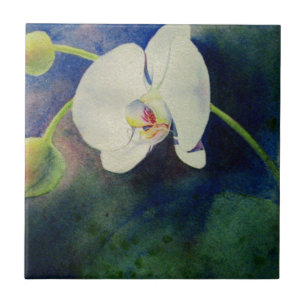 White Hawaiian orchid waterverf schilderij Tegeltje