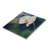 White Hawaiian orchid waterverf schilderij Tegeltje (Zijkant)