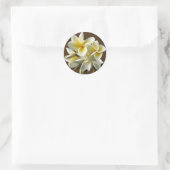White Hawaiian Plumeria Floral Stickers (Tas)