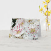 White Hawthorn Flowers Wenskaart Kaart (Gele Bloem)