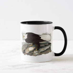 White Headed Eagle John James Audubon Mok