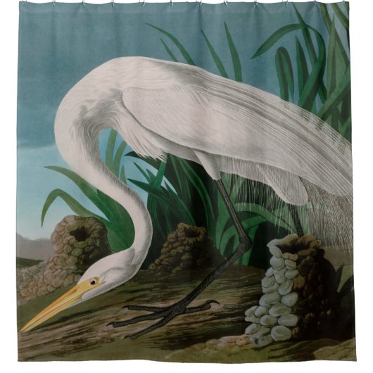 White Heron Birds of America Audubon Print Douchegordijn (Voorkant)