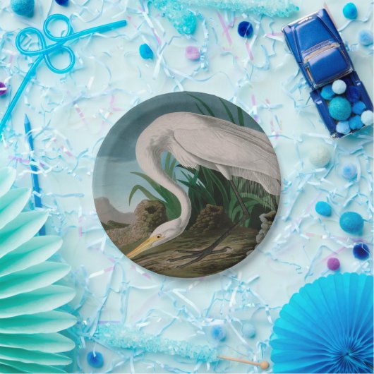 White Heron Birds of America Audubon Print Papieren Bordje (Feest)