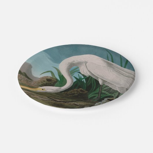 White Heron Birds of America Audubon Print Papieren Bordje (Gekanteld)