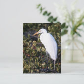 White Heron Briefkaart (Staand voorkant)