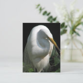 White Heron Briefkaart (Staand voorkant)