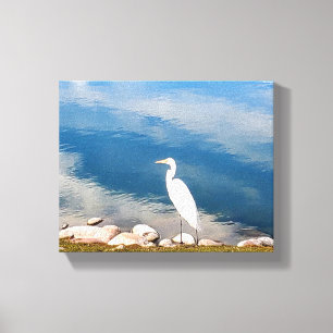 White Heron Canvas Afdruk