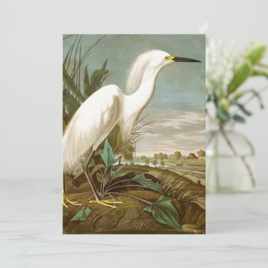 White Heron door John James Audubon Bedankkaart (Staand voorkant)