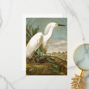 White Heron door John James Audubon Bedankkaart