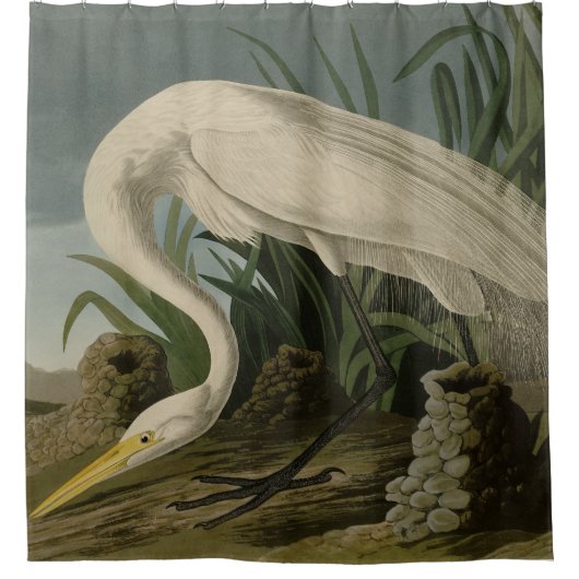 White Heron, Great Egret, Audubon Birds of America Douchegordijn (Voorkant)