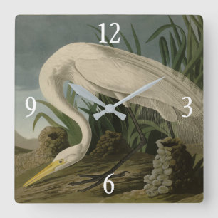 White Heron, Great Egret, Audubon Birds of America Vierkante Klok