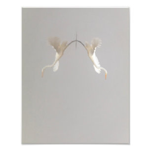 White Heron Inname van Zen Foto Afdruk