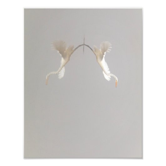 White Heron Inname van Zen Foto Afdruk (Voorkant)